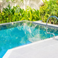 Piscine Écologique