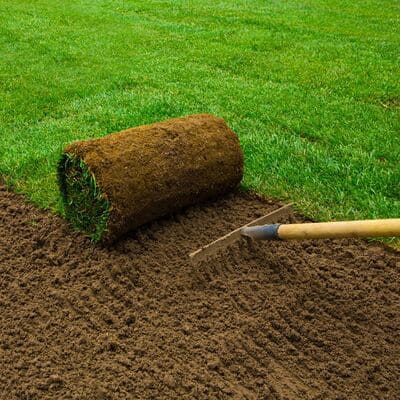 Gazon en Rouleau Paspalum Vaginatum Maroc  Qualité Supérieure pour Bord de Mer