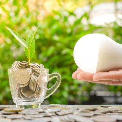 ampoule-LED-economique 80649871 - woman hand is holding led bulb with growing plant in the glass and sun light - concept of saving energy1